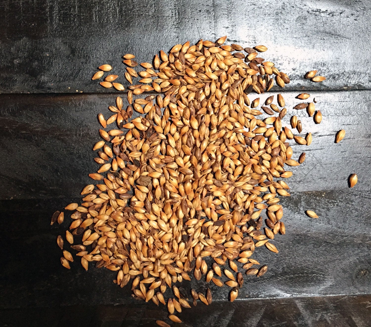 Crystal 75 Malt at Salem Brew Supply Salem, Oregon Salem Brew Supply